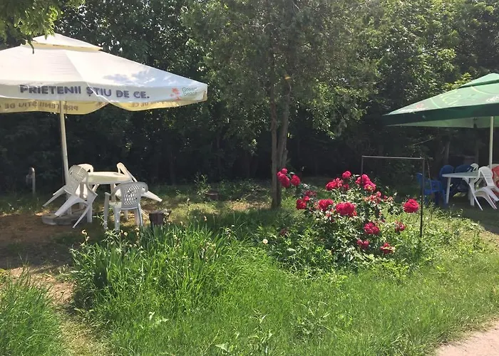 Bungalow Eforie Nord 山林小屋